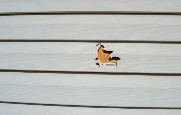 Cost of Siding Hole Patching in Elk Grove