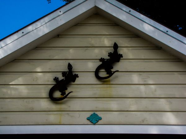 Cost of Shiplap Siding Installation in Elk Grove